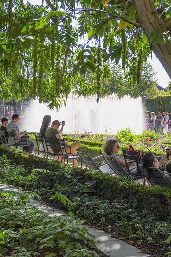 Feiten over de meerwaarde van groen