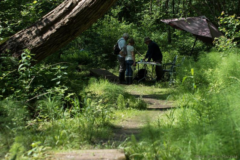 Opening buurttuin en vernieuwd bezoekerscentrum Groene Vallei