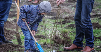 Ieper en Agentschap voor Natuur en Bos planten 1,3 hectare bos