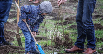 Ieper en Agentschap voor Natuur en Bos planten 1,3 hectare bos 