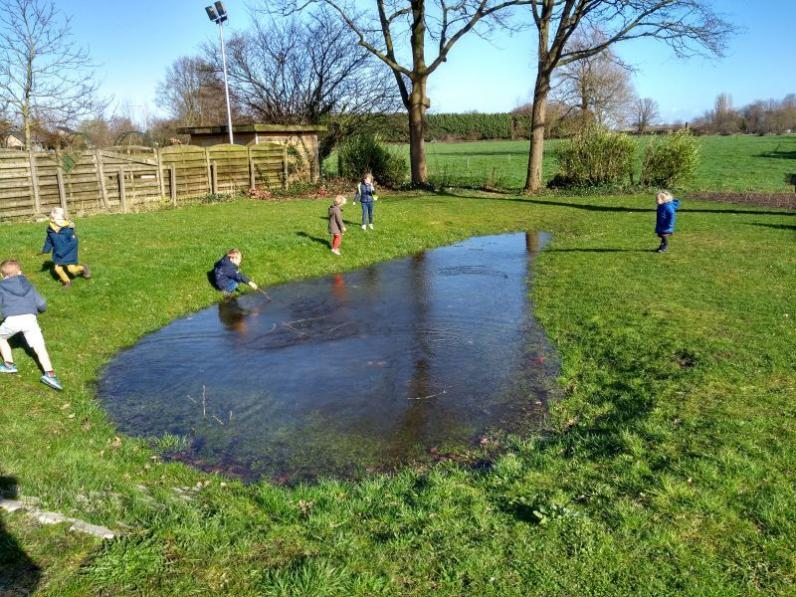 Webinar: Regenwater en vergroenen slim combineren