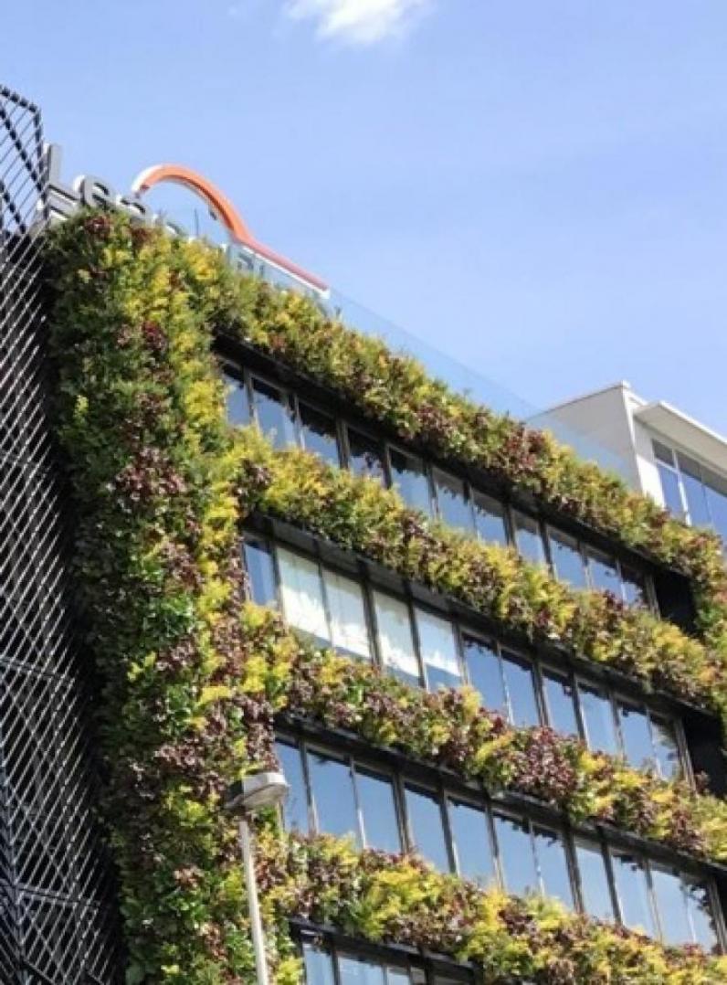 ING Fonds voor Duurzame Gebouwen wil gevels van openbare gebouwen vergroenen