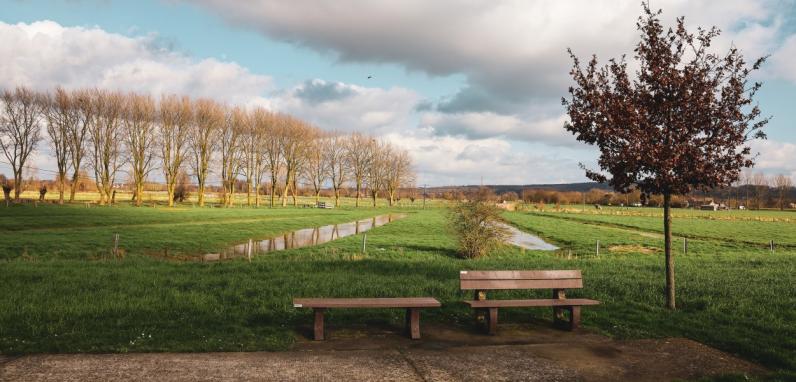 Leiedal / Inspiratiesessie kleine landschapselementen