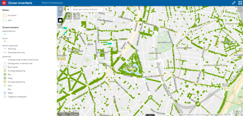 Stad Antwerpen brengt ruim 100.000 bomen in kaart