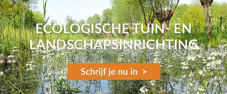 Webinar: Infosessie Ecologische Tuin- en Landschapsinrichting