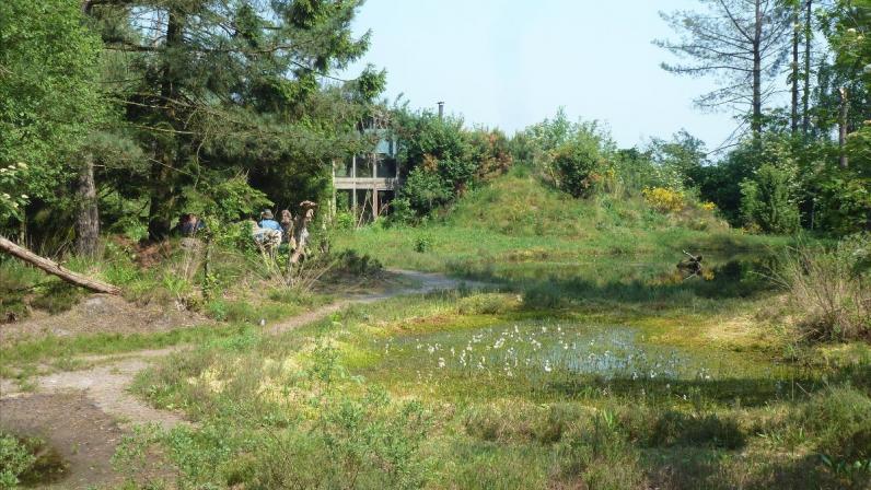 Inverde / Info-avond Ecologische Tuin- en Landschapsinrichting