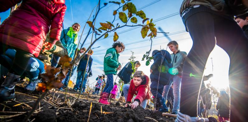 Nederland plant 80 Tiny Forests en 400 Tuiny Forests aan