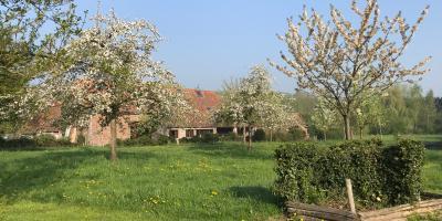 Provincie Oost-Vlaanderen start proeftuin voor ecologisch moestuinieren