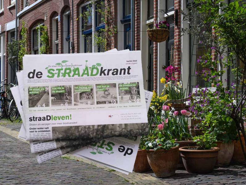 De StraaDkrant / oplossing ligt op straat