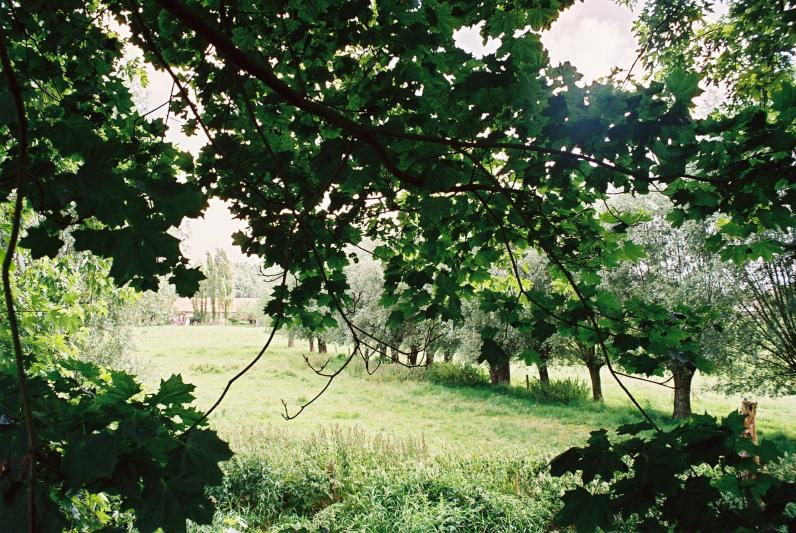 Symposium / Kleine landschapselementen, kleine bouwstenen voor grootse landschappen