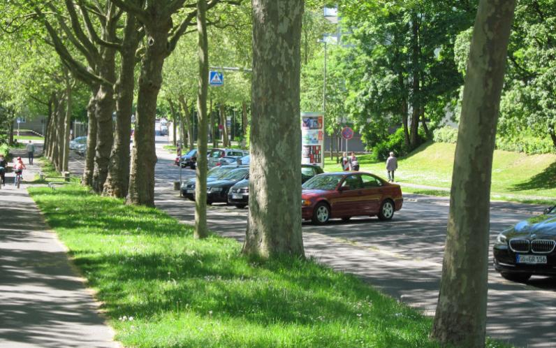 Toekomstbomen / Opgave voor landschapsarchitecten