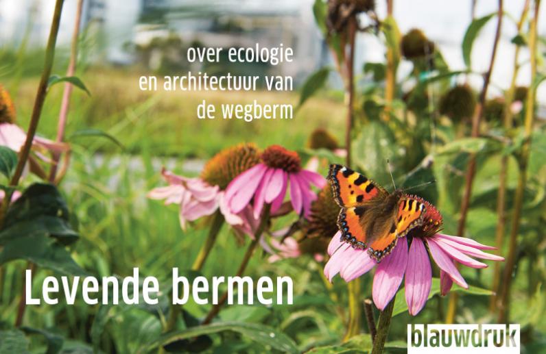 Levende bermen – Over ecologie en architectuur van de wegberm