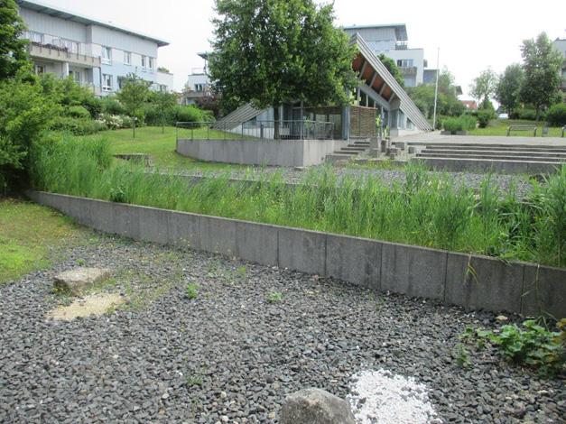 Kubiekeruimte / Online-lezing ‘Koester het hemelwater in tuinen, parken en pleinen’