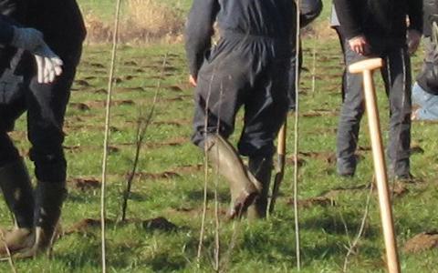 2750 bomen voor Machelen