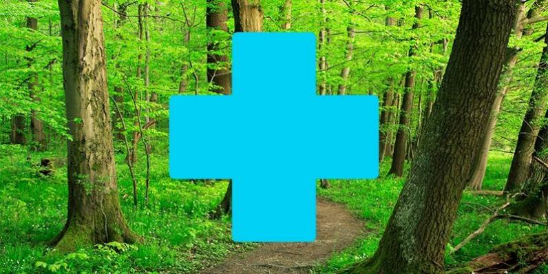Oproep ‘Natuur in je buurt’ / 1,5 miljoen euro voor natuurprojecten