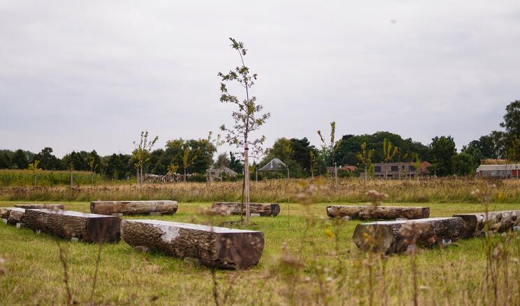 Natuurbegraafplaats Drongen: geen gedenktekens en bioafbreekbare kisten 