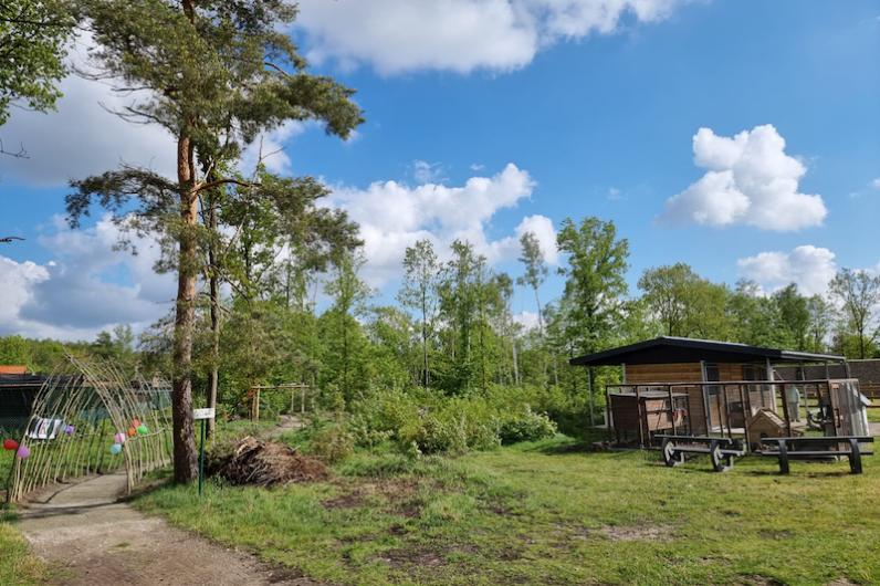 23 projecten ontvangen ‘Natuur in je buurtsubsidie’