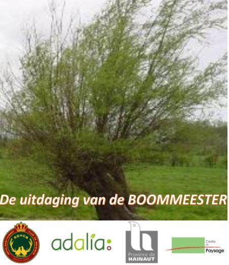 De uitdaging van de BOOMMEESTER: Wilgen poten voor het klimaat
