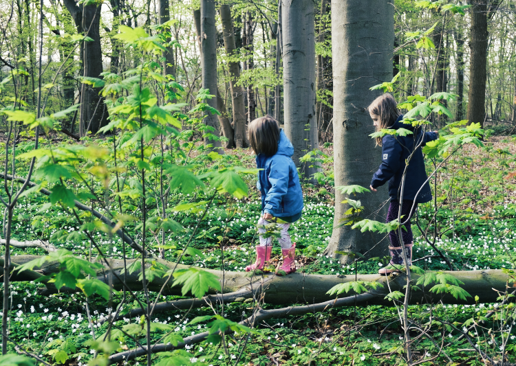 Netwerk natuur en gezondheid opgericht