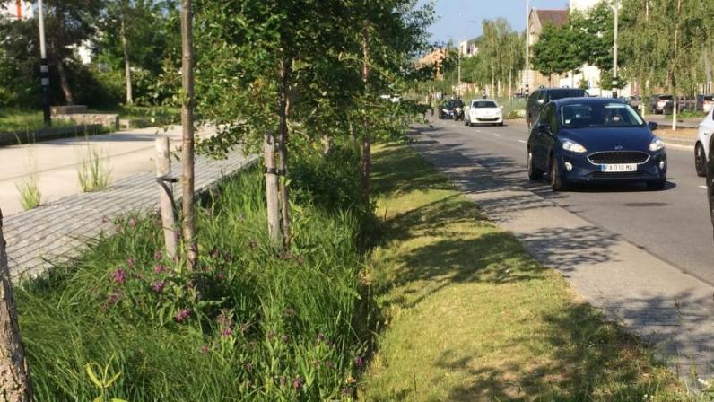 SUSTAINABLE.STREET.BRUSSELS: onlinetool om de milieucapaciteit van het wegennet te beoordelen