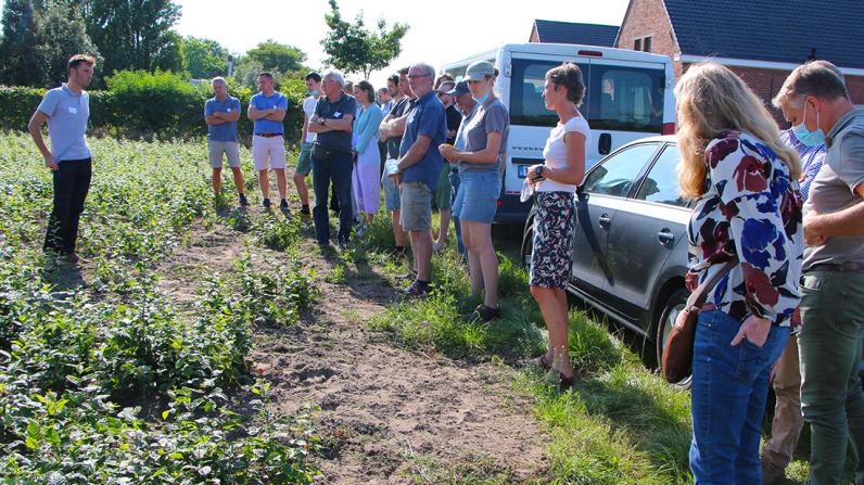 Over het belang van certificering in de groensector