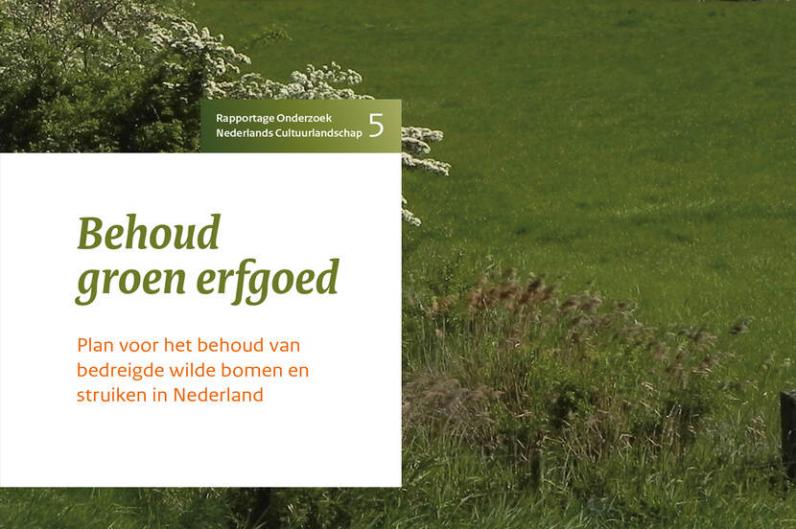 Behoud groen erfgoed: advies over beschermen van de laatste wilde bomen en struiken in Nederland