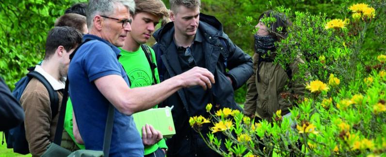 Opleiding ‘Duurzaam ontwerpen met planten en groenvormen’ 