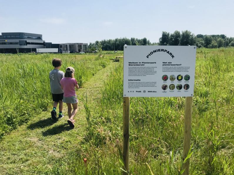 Amsterdam opent nieuw stadspark waar spontane natuur de kans krijgt