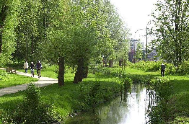 Nabijheid van publieke groene ruimten belangrijk voor gezondheid 