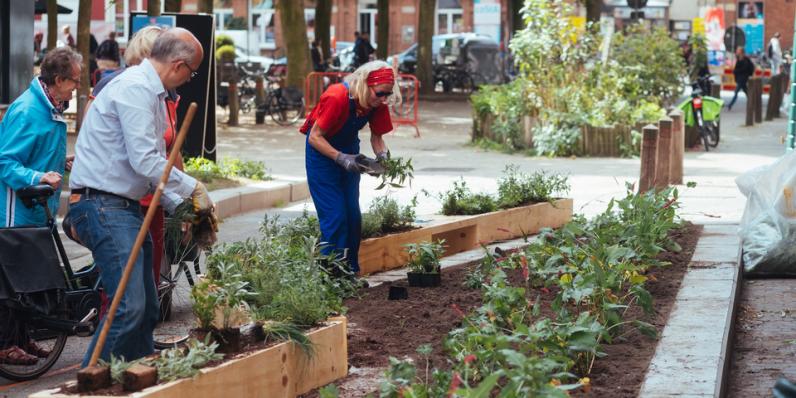 Antwerpen / Lange Riddersstraat wordt een tuinstraat