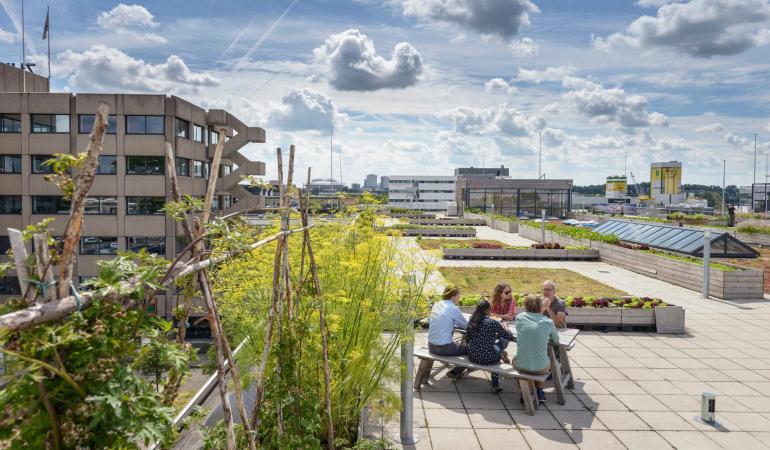 Studie / Groen draagt bij aan welzijn Amsterdammers