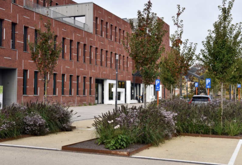 Groenaannemer-award 2021 voor ‘Omgevingsgroen gemeentehuis Beveren’