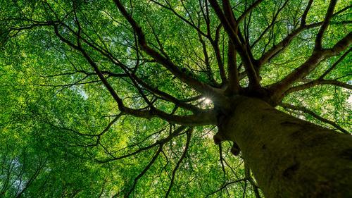 Inspiratiedag ecosysteemdiensten