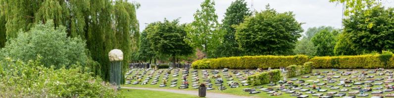 Webinar: Praktijkvoorbeelden van vergroende begraafplaatsen 
