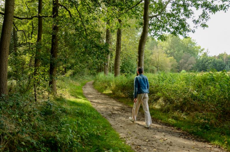 35 hectare nieuw bos dicht bij Gent