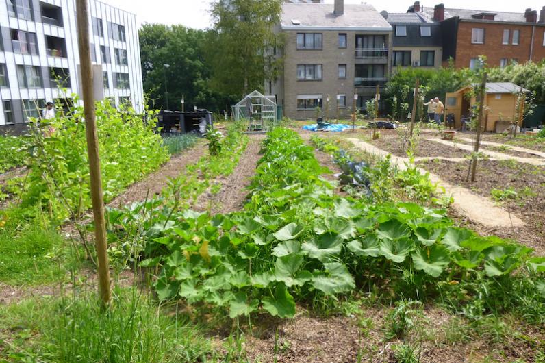 Stadsplanning moet ruimte laten voor voedselproductie