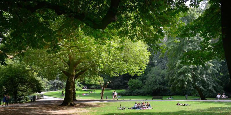 OMGEVING wint wedstrijd voor de herwaardering van het stadspark van Antwerpen