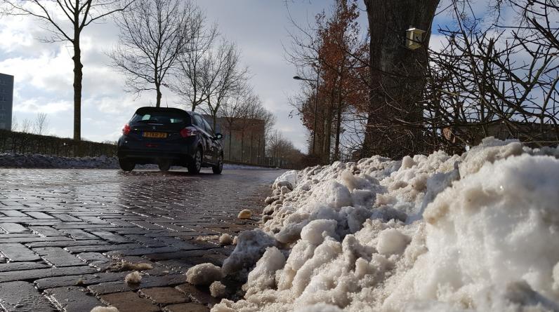 Plant bomen die tegen zout kunnen