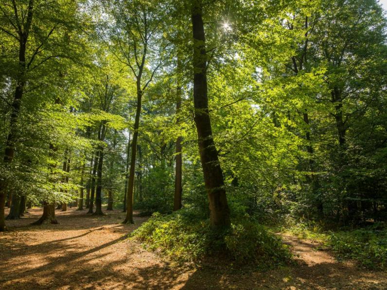 Provinciedomein Tillegembos in Brugge wordt uitgebreid met 2,2 ha