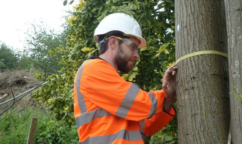 Publieke consultatie Technical standards in tree work (TEST)