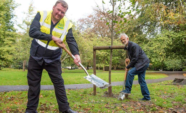 Nederlands Limburg plant één boom voor elke inwoner