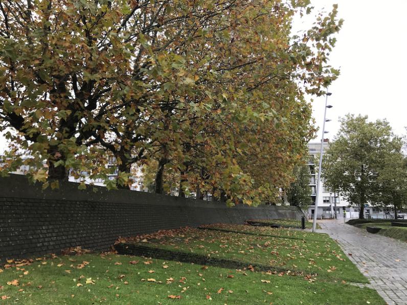 Open Brief / Protest tegen kappen volwassen bomen in Gent