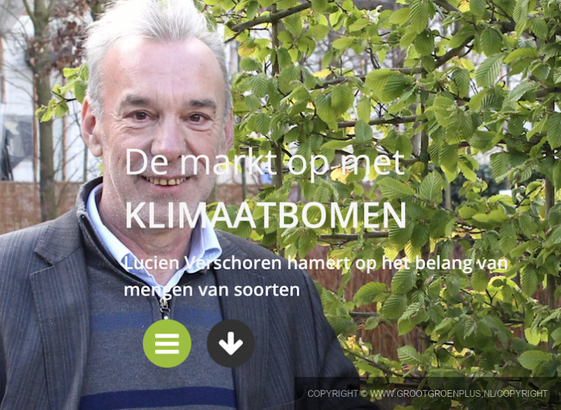 Met klimaatbomen de markt op