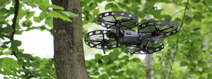 Conditiebepaling van stadsbomen met de inzet van drones