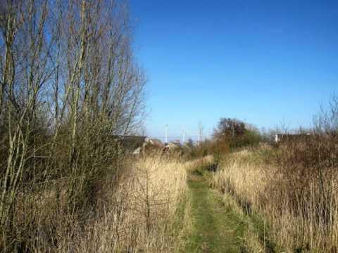 Kortrijk krijgt tweede ecologisch stadspark