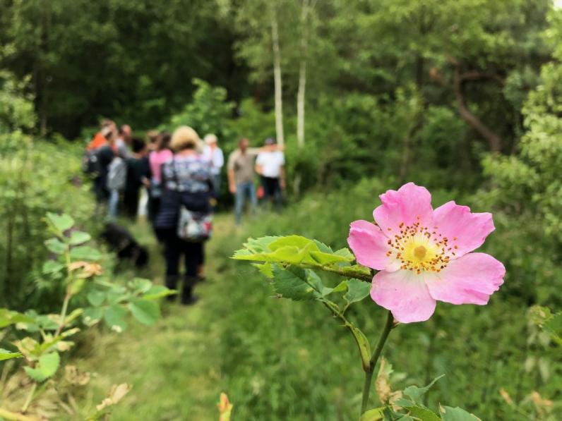 Zes recepten voor biodiverser, klimaatrobuuster en voedselrijker bos