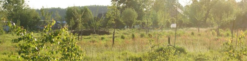 Webinar: Voedselbossen: wat zegt de wet?