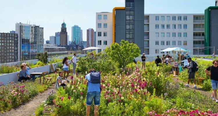 Groen wordt steeds belangrijker voor steden