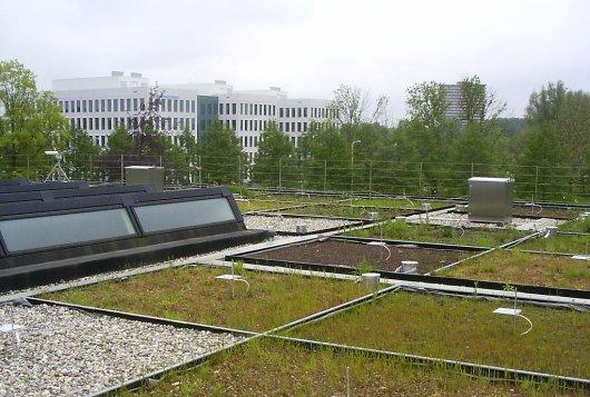 Watermanagement in de stad: minder stenen, meer groen