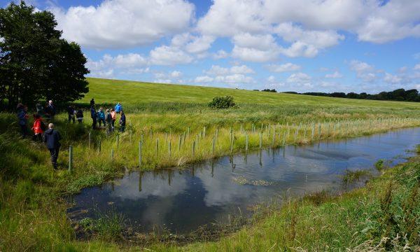 Vlaanderen lanceert tweede oproep Water-Land-Schap 2.0 om droogte aan te pakken